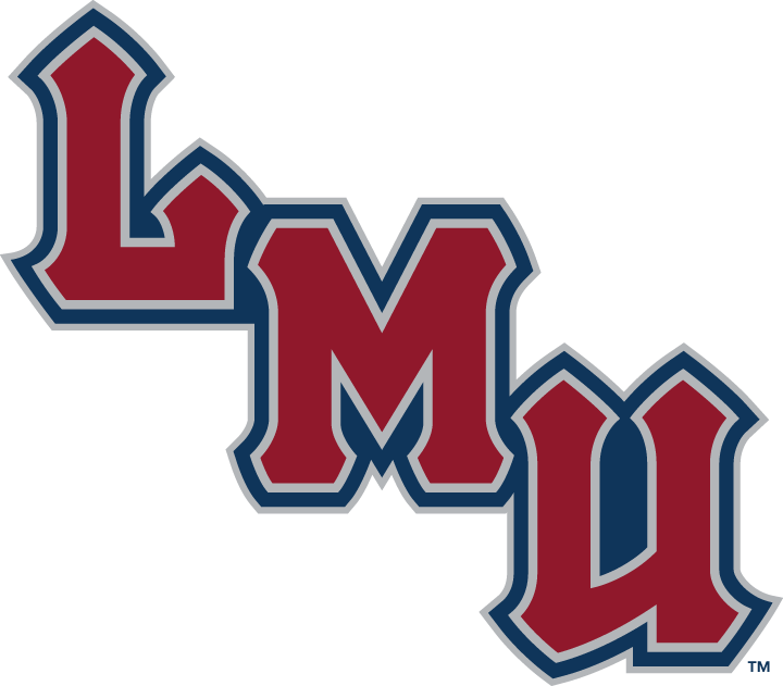 Loyola Marymount Lions 2001-Pres Wordmark Logo t shirts DIY iron ons v4